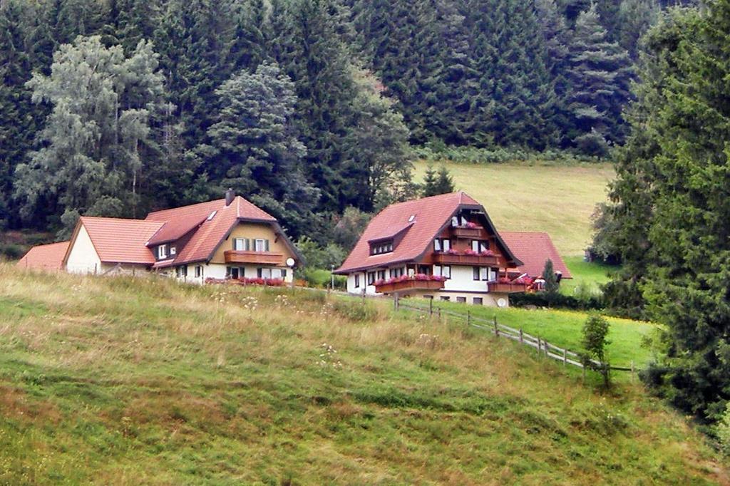 Martina Frey Ferienwohnungen Baiersbronn Exterior foto