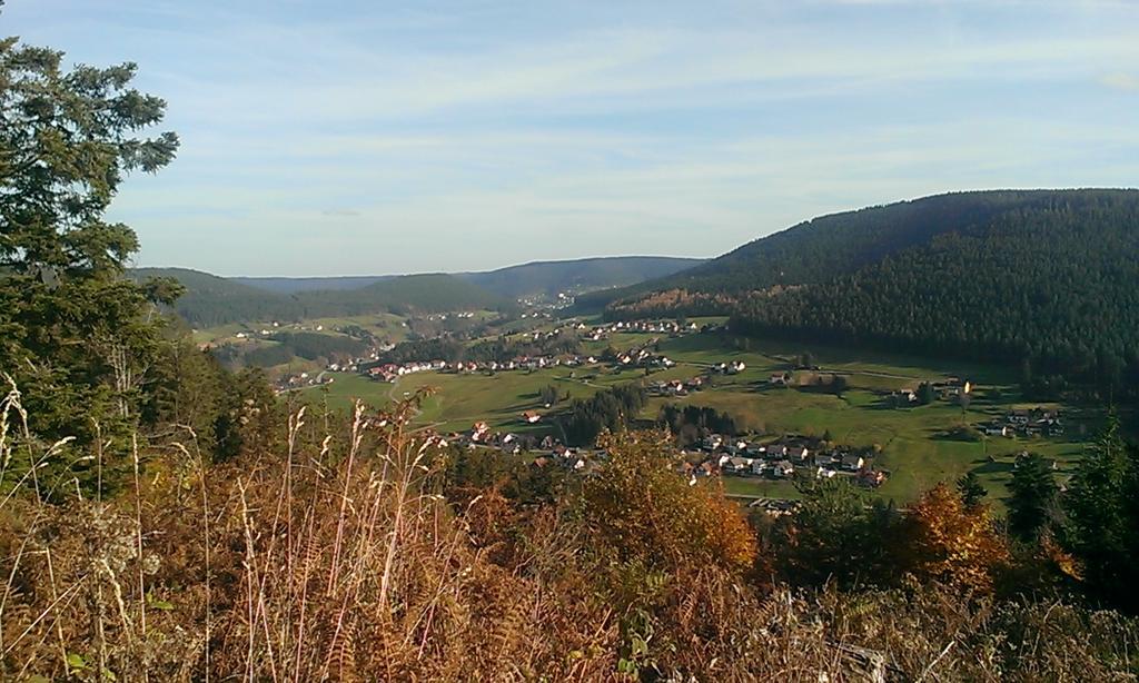 Martina Frey Ferienwohnungen Baiersbronn Exterior foto